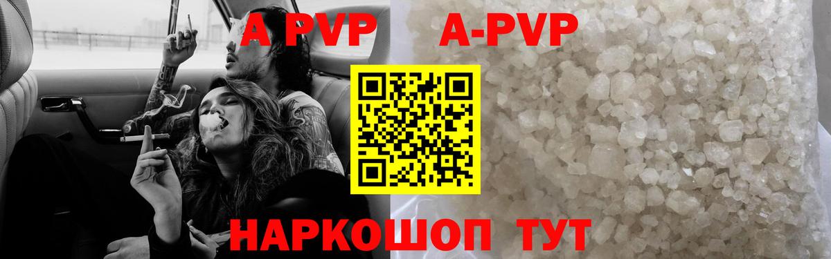 Alfa_PVP СК Новозыбков