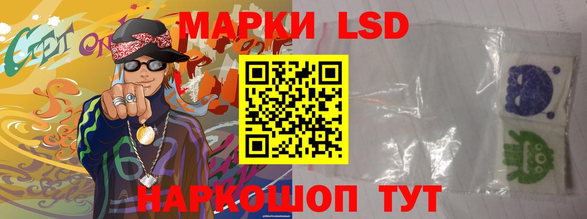 Новозыбков  Лсд 25 экстази кислота  Вход с VPN  Лсд 25 экстази кислота 